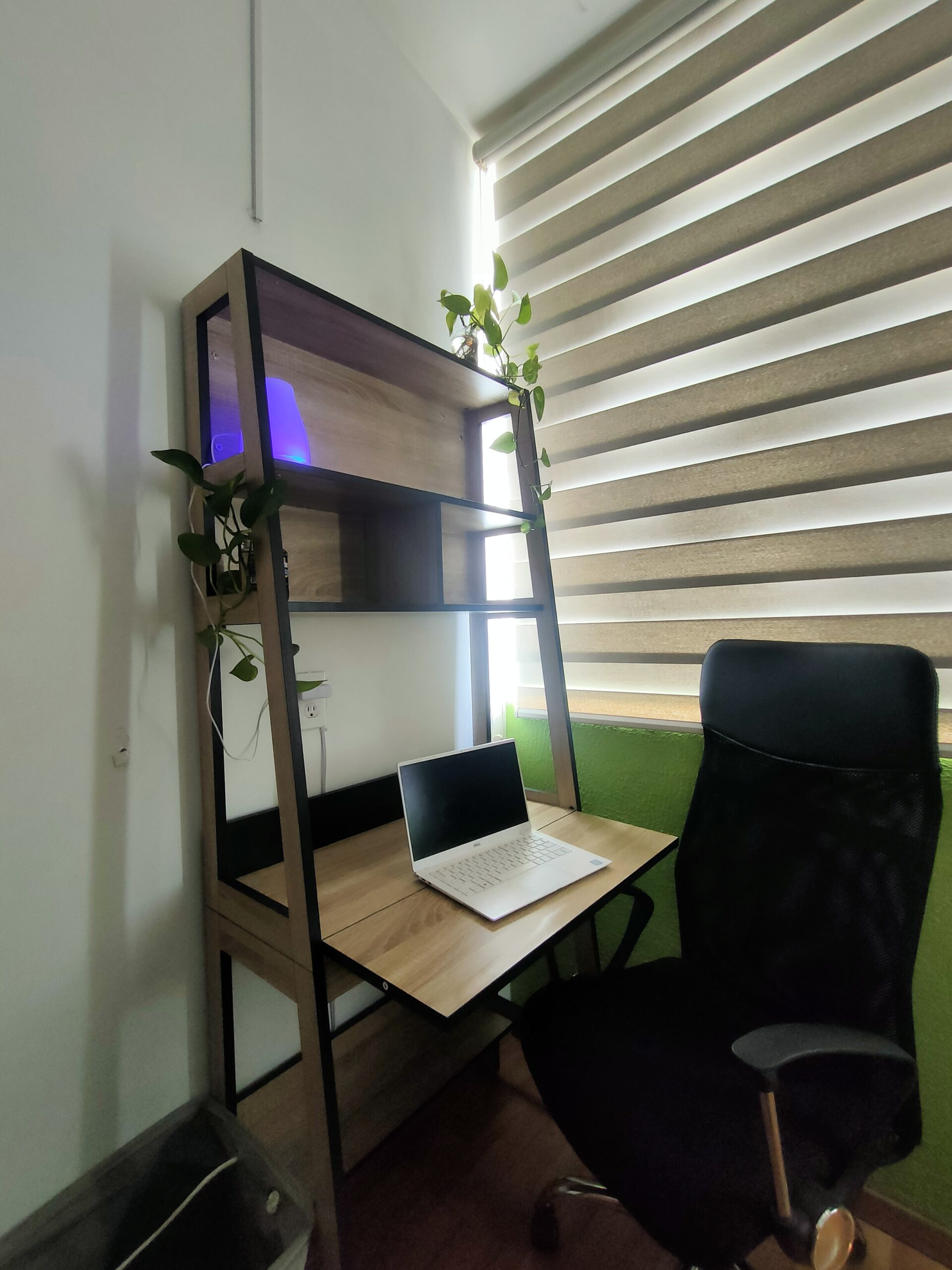 Escritorio con laptop y plantas decorativas