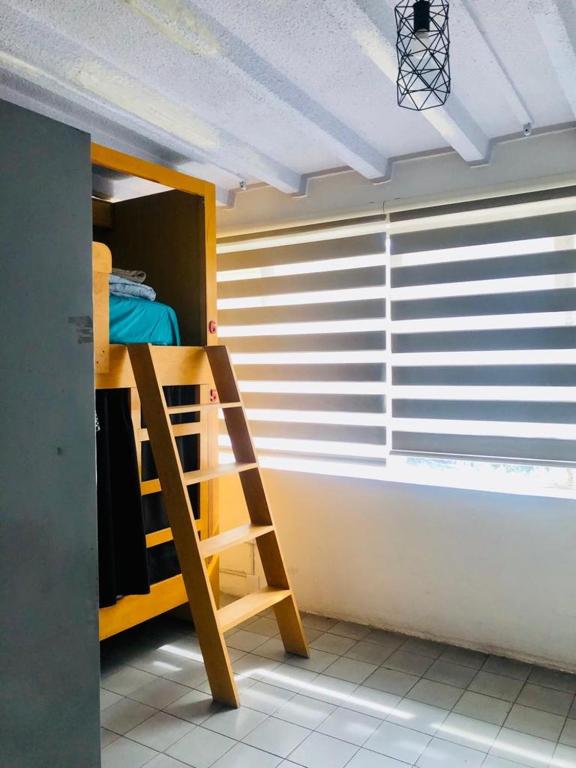 Litera de madera en habitación luminosa